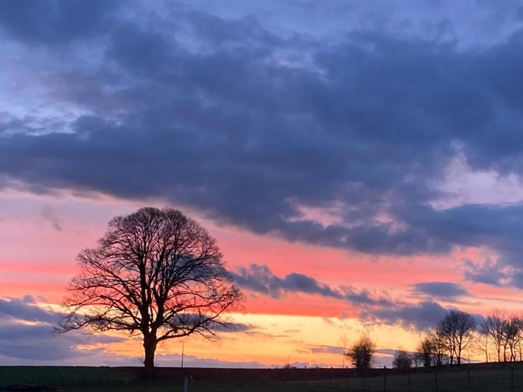 Glashaus Sternblick, Schlafen Unterm Sternenhimmel Neustadt am Kulm Buitenkant foto